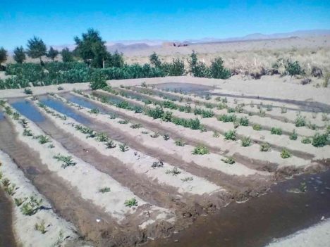 Proyecto de emprendimiento sustentable para desarrollar economía local en Catamarca